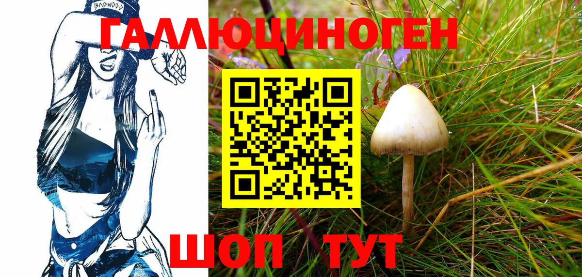 Отрадное  Псилоцибиновые грибы Magic Shrooms  Вход с VPN 